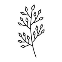 mignonne branche avec feuilles isolé sur blanc Contexte. vecteur dessiné à la main illustration dans griffonnage style. parfait pour cartes, logo, décorations, divers conceptions. botanique clipart.