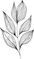 magnifique monochrome noir et blanc botanique éléments sont isolé sur blanche. dessiné à la main feuille ensemble et, botanique vecteur art. minimaliste feuille dessin, Facile botanique contour. fleurs sauvages esquisser art