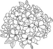 esquisser contour bouquet de jasmin fleurs, esquisser jasmin fleur dessin, fleur grappe dessin, facile fleur coloration pages, fleur coloration page pour adultes, jasmin crayon dessin. vecteur