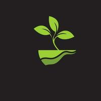 logo de plante biologique vecteur