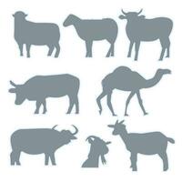 eid al-adha silhouette collection. rural ferme animaux sur une blanc Contexte. vecteur