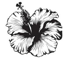 hibiscus illustré dans contour style. fleur main tiré illustration collection pour floral conception. un élément décoration pour mariage invitation, salutation carte, tatouage, vecteur