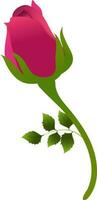 magnifique rouge Rose bourgeon fleur sur blanc Contexte. vecteur