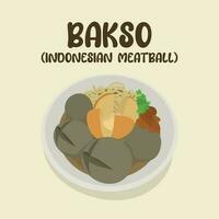 Bakso indonésien boulette de viande traditionnel rue nourriture vecteur