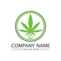 logo de cannabis et vecteur d'icône de feuille de marijuana