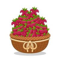 dragon fruit dans panier vecteur illustration