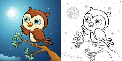 mignonne hibou dessin animé sur arbre branches avec plein lune à nuit. coloration livre ou page vecteur