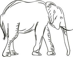 vecteur illustration de l'éléphant esquisser.