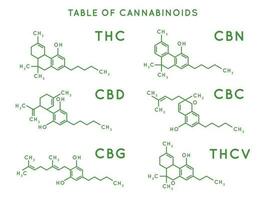 cannabinoïde structure. cannabidiol moléculaire structures, thc et cbd formule. marijuana ou cannabis molécules vecteur illustration