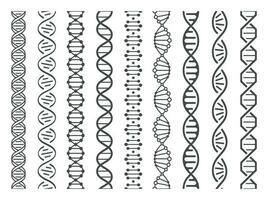 sans couture ADN spirale. adn hélix structure, génomique modèle et Humain la génétique code modèle vecteur illustration ensemble