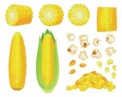 dessin animé maïs. d'or maïs récolte, pop corn éculé céréales et sucré maïs. oreille de maïs, délicieux des légumes vecteur illustration ensemble