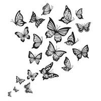 papillons couler. papillon aile, printemps en volant insecte et vol vague vecteur Contexte illustration