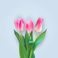 fond de tulipes colorées vecteur