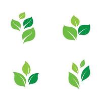 logos de l'écologie des feuilles d'arbre vert vecteur