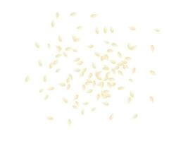 Haut vue de blanc sésame des graines dispersion plus de le Couper en dehors arrière-plan, plat vecteur. vecteur