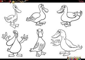 dessin animé canards ferme animal personnages ensemble coloration page vecteur