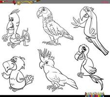 dessin animé perroquets des oiseaux animal personnages ensemble coloration page vecteur