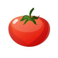 tomate isolé sur blanc arrière-plan, vecteur illustration
