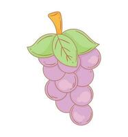 Frais les raisins fruit en bonne santé icône vecteur