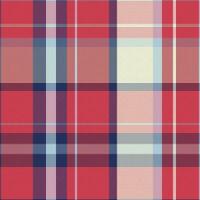 tartan plaid modèle. vérifier plaid. vecteur