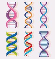 six molécules d'ADN vecteur