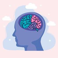 profil du cerveau humain vecteur