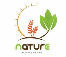 la nature logo éco amical environnement logo agriculture blé vert feuille lumière du soleil vecteur illustration grandir blé Naturel biologique concept vecteur illustration