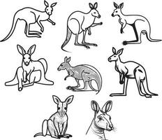 kangourou contour icône isolé ligne vecteur illustration