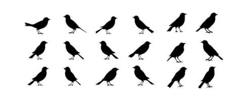 des oiseaux silhouettes. noir oiseau contour formes isolé sur blanc Contexte. vecteur illustration