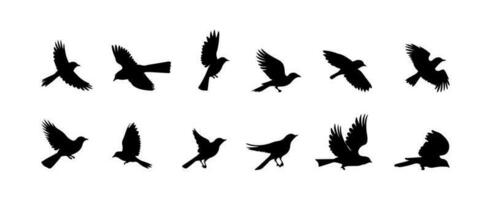 en volant des oiseaux silhouette isolé sur blanc Contexte. oiseau contour noir formes main tiré vecteur illustration