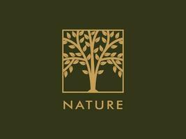 arbre logo vecteur, jardin plante Naturel symboles modèle vecteur