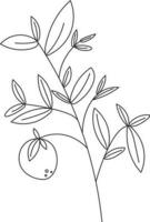 vert rustique biologique feuilles botanique croquis illustration plante art vecteur