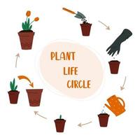 concept de jardinage cercle vie végétale soins pour plantes d'intérieur comment faire pousser une plante vecteur