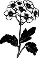 primevère, noir et blanc vecteur illustration