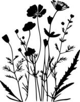 fleurs sauvages - noir et blanc isolé icône - vecteur illustration