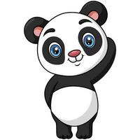 mignonne bébé dessin animé Panda sur blanc Contexte vecteur