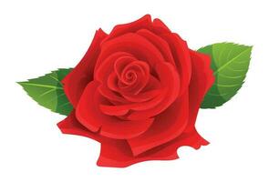 magnifique rouge Rose vecteur illustration