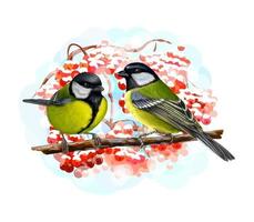 mésange oiseaux assis sur une branche sur fond blanc croquis dessinés à la main illustration vectorielle de peintures vecteur