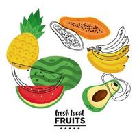 lettrage de fruits locaux frais avec pastèque et fruits vecteur