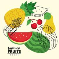 lettrage de fruits locaux frais et groupe de fruits vecteur