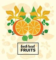 lettrage de fruits locaux frais avec des oranges et des feuilles vecteur