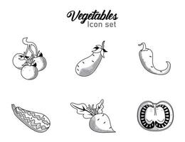 lot de six légumes avec des icônes de jeu de lettrage vecteur