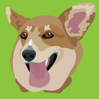 corgi plat portrait illustration vecteur