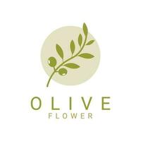 olive feuille fleur logo conception concept vecteur