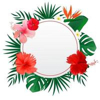 cadre naturel abstrait avec palmier tropical et monstera laisse fleur exotique isolé sur blanc vecteur