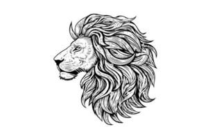 le Lion tête main dessiner ancien gravure noir et blanc vecteur illustration sur une blanc Contexte.