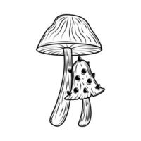 croquis de la nature des champignons vecteur