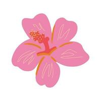 rose hibiscus bourgeon vecteur clipart. dessiné à la main été branché tropical fleur illustration