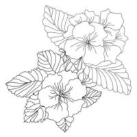 primevère bouquet lineart illustration vecteur