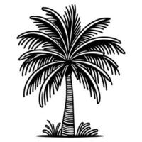 cette est une noix de coco arbre vecteur silhouette, noix de coco arbre ligne art vecteur noir et blanche.